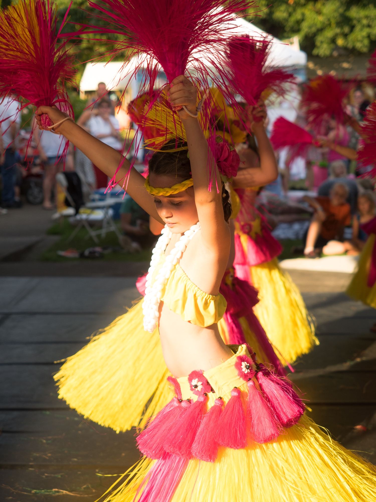 2015 Summer Arts Festival